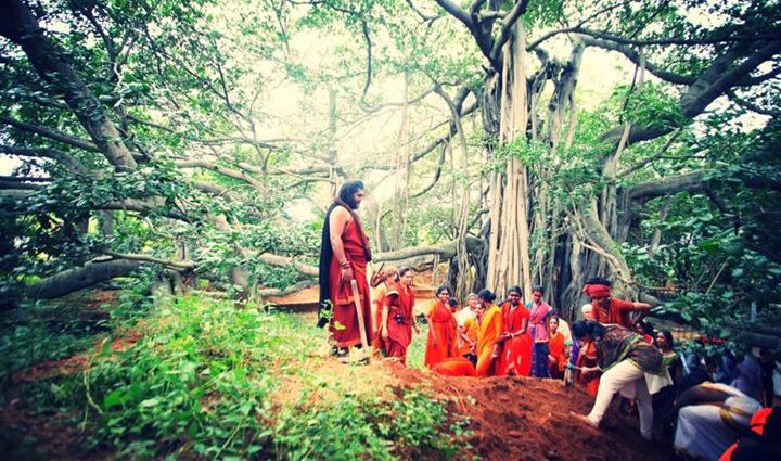 Bālasanyāsis tending the land beneath the banyan